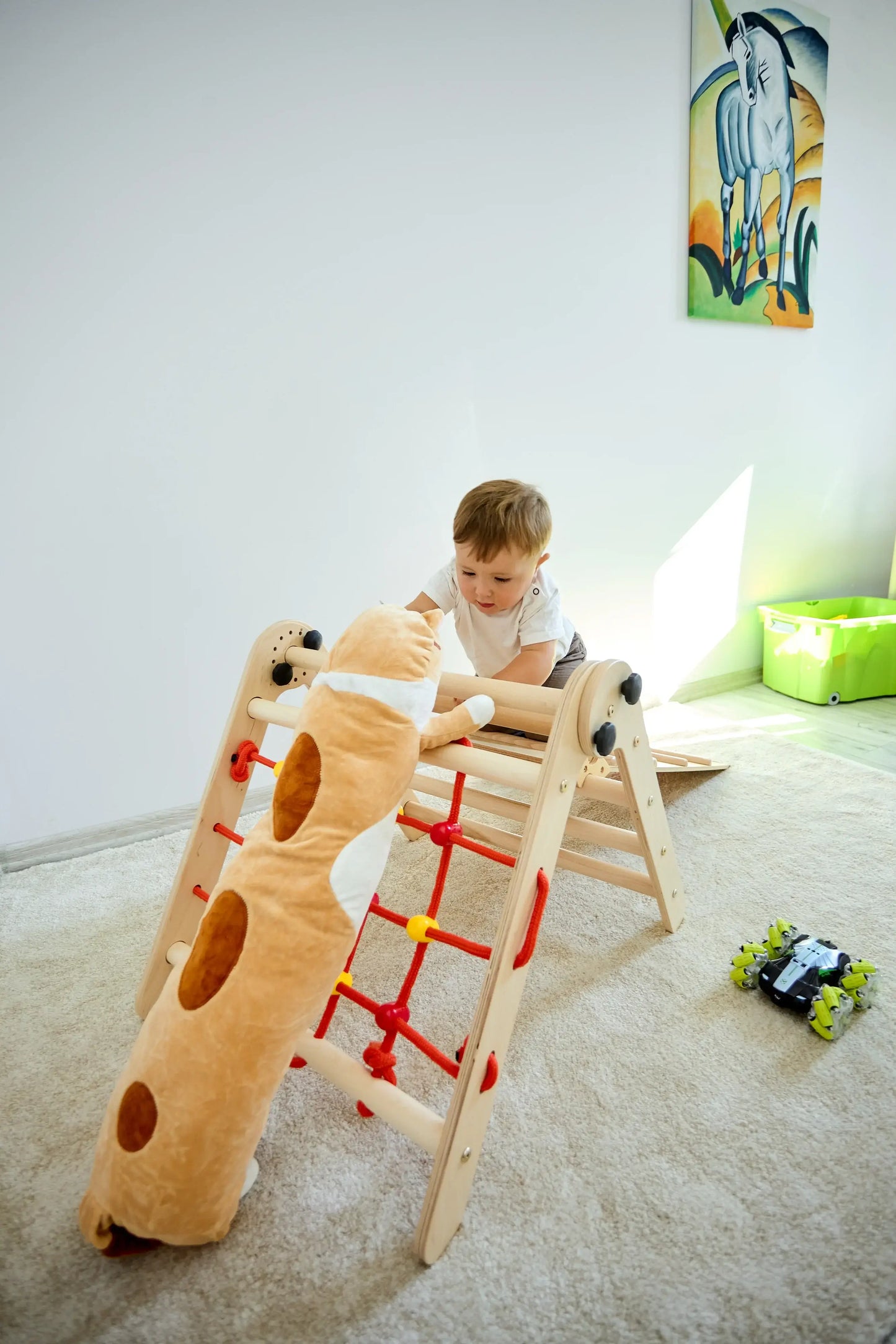 Kletterdreieck BASIC mit Leiter, Kletternetz & Rutsche, versch. Farben