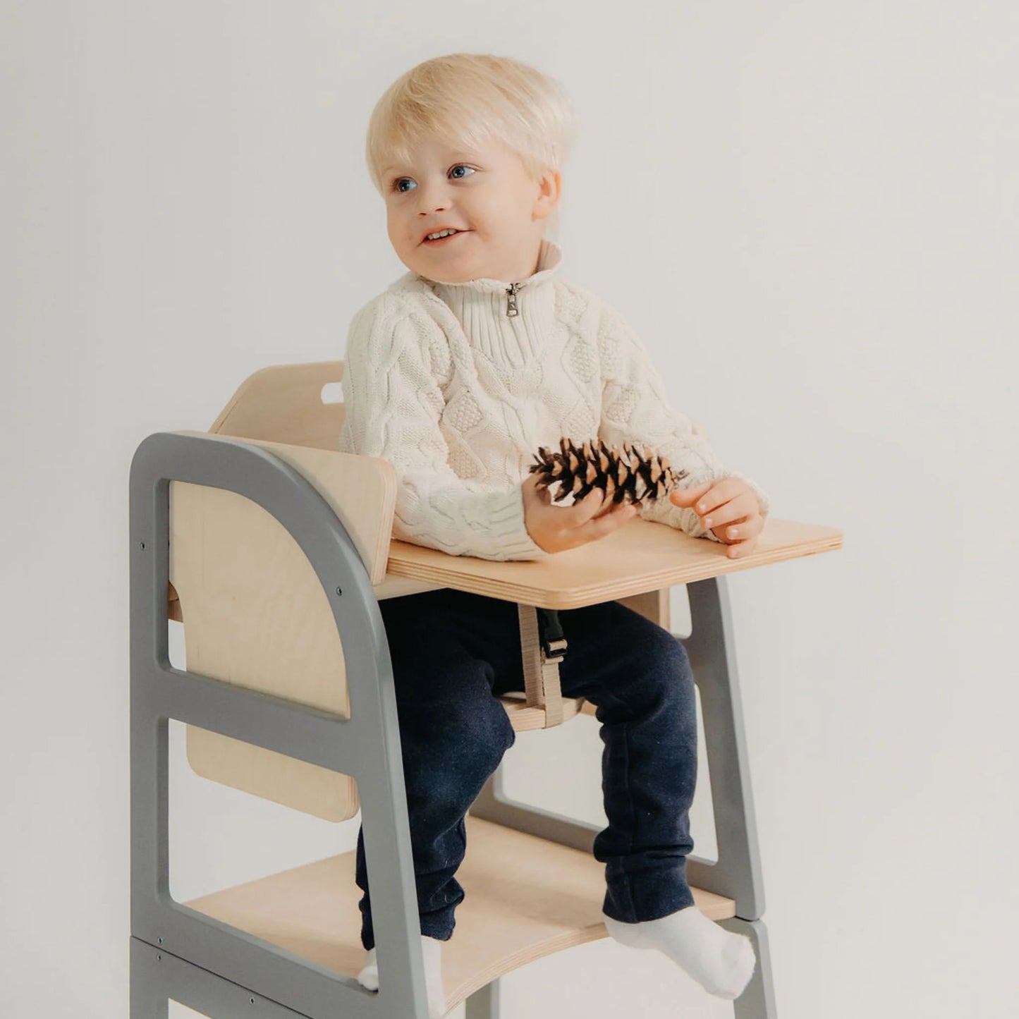 Learning tower / kitchen helper 2in1