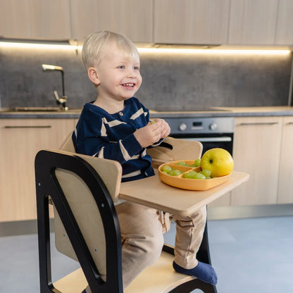 Learning tower / kitchen helper 2in1