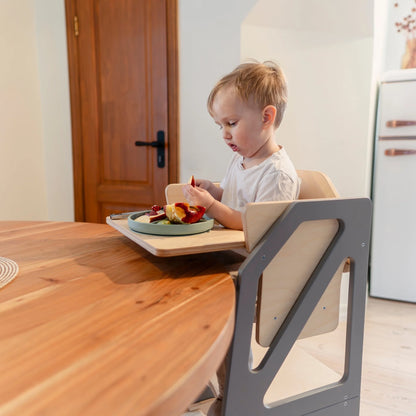 Learning tower / kitchen helper 2in1