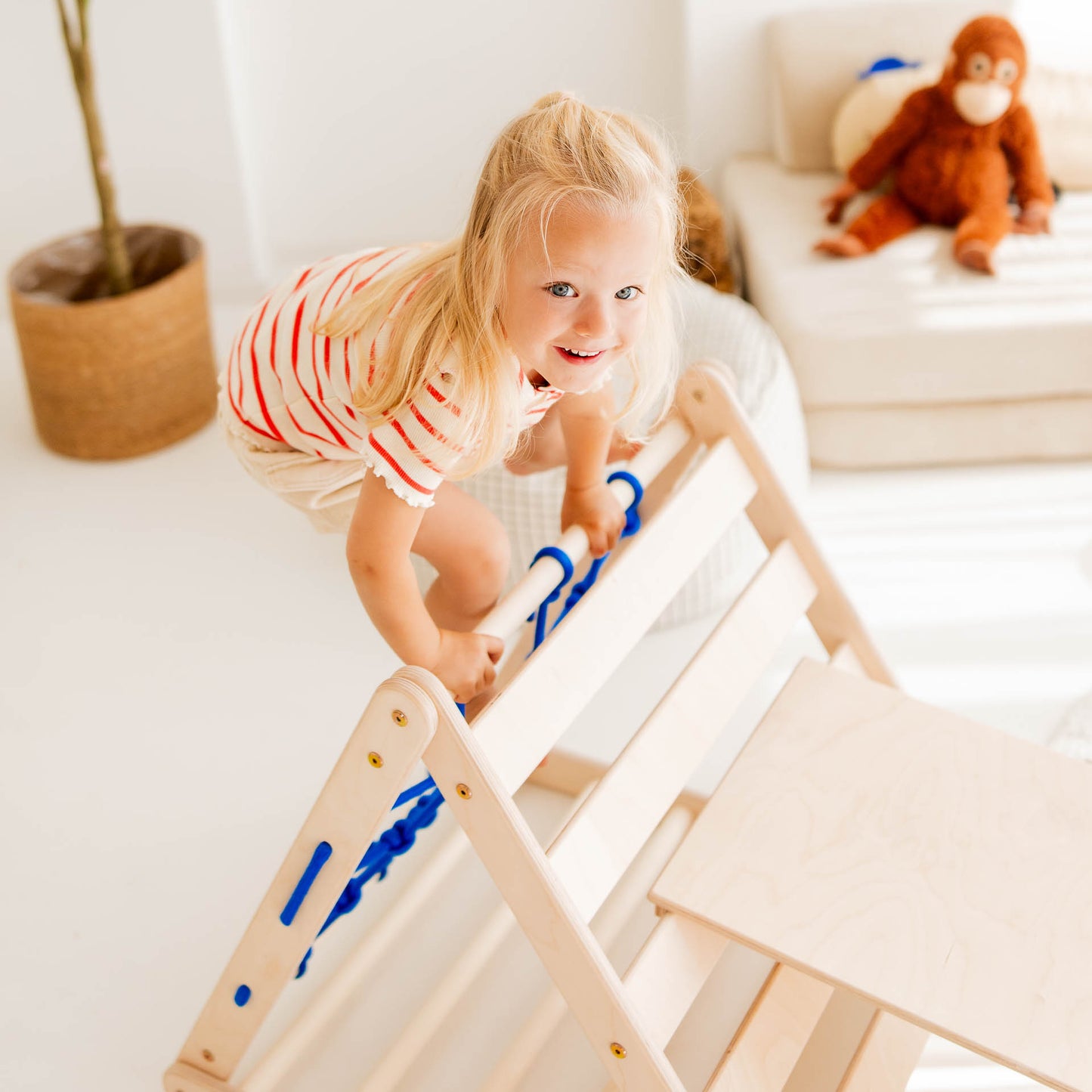 Small tiger climbing set