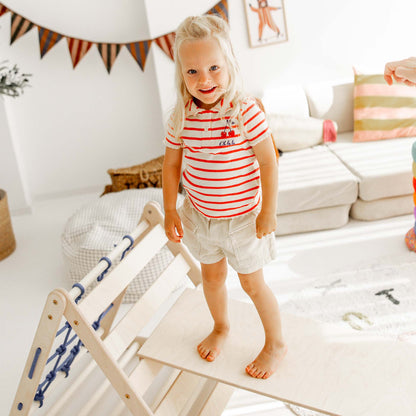 Small tiger climbing set