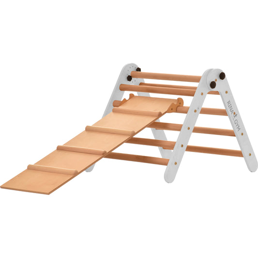 Climbing triangle BASIC with double ladder &amp; slide, various colors